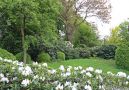 schöne Hecke und Büsche