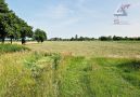 Blick auf Wiese