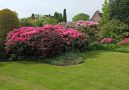 gepflegter Garten