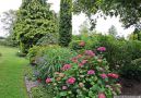 IMG_1790