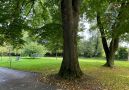 parkähnlicher Garten