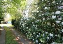 Werbebild 5