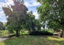 Hinter dem Zaun noch Obstbaumwiese