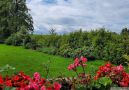 Garten mit Blumen