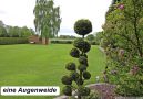 eine Augenweide