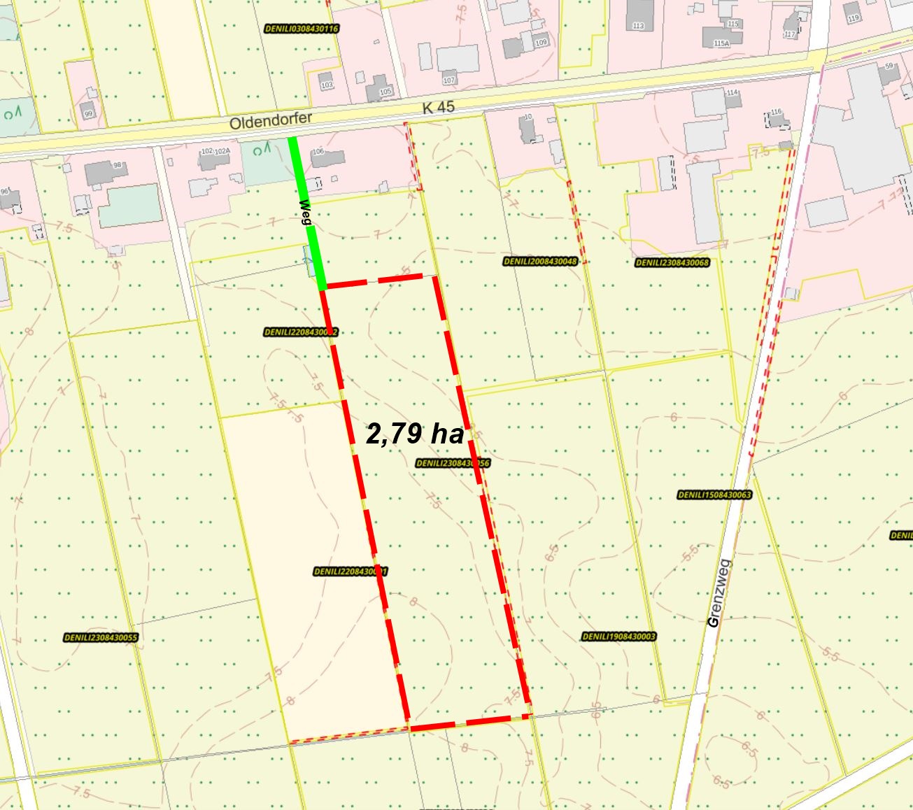 Gute Grünlandfläche an der Oldendorfer Straße
