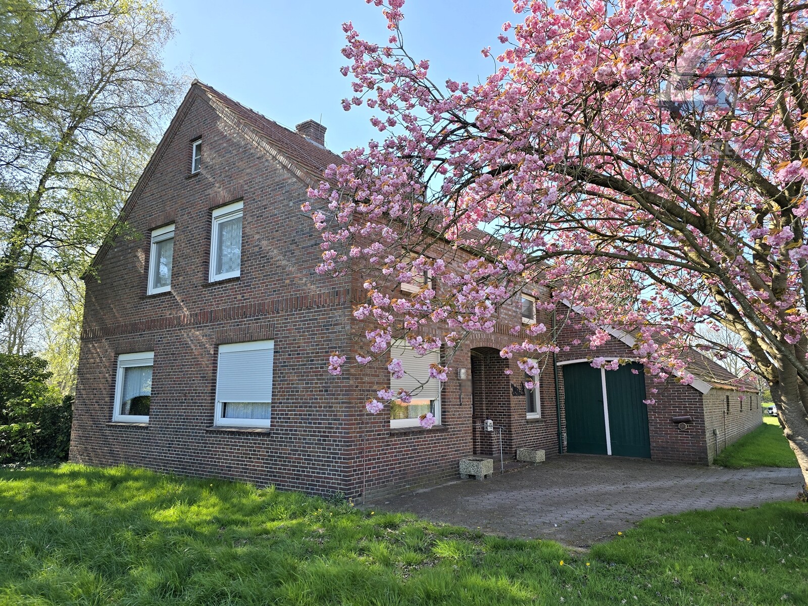 Ostfriesisches Bauernhaus mit Weideland am Haus.